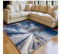 Tapis Salon 140 x 200 cm Paysage enneigé sur Un Sentier de Montagne Doux Poil Ras Antidérapant Moderne Blanc Tapis Chambre Sol