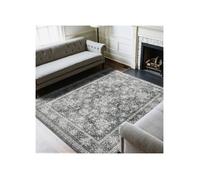Tapis Salon 2 4 x 3 m Grand Tapis Chambre Lavable et Antidérapant Poils Courts et Denses Résistant aux Griffures Animaux Doux