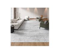 Tapis Salon, 3 x 4,3 m, Grand Tapis Chambre Lavable et Antidérapant, Poils Courts et Denses, Résistant aux Griffures Animaux, Doux