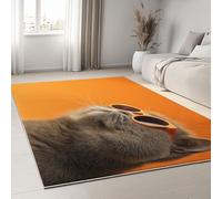 Tapis Salon 60 x 90 cm Runner Rectangulaire Lavable Imprimé Photographie Fantastique, Animaux Chats À Lunettes De Soleil Portraits Tapis Décoratif Antidérapant Bas Doux pour Chambre Décoration Sol