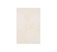 Tapis Salon Beige 120x180 cm - Tapis Doux à Poils Courts - Antidérapant - Tapis Moelleux Lavable pour Chambre