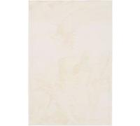 Tapis Salon Beige 120x180 cm Rose
