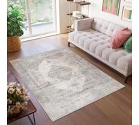 Tapis Salon Chambre à coucher Modernes Design Gris Vintage Effet usé 300 x 400 cm