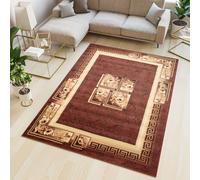 Tapis Salon Chambre à coucher Tapis moderne Design Grec Carré Fleurs Floral Bordure Marron Beige 160 x 220 cm