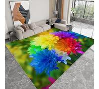 Tapis Salon Chrysanthème Arc-en-Ciel Style Photographique Lavable Pile Courte et Douce, Rectangulaire Tapis Chambre Intérieur Extérieur Dessous antidérapant 60x90 cm, Vert Clair