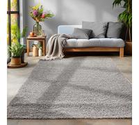 Tapis Salon épais shaggy Uni couleurs, rectangulaire, rond, gris clair, 300x400 cm