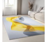 Tapis Salon Formes Modernes Abstraites Et Fluides 120 x 160 cm Doux Antidérapant Tapis Décoratif de Chambre Lavable en Machine Tapis pour Entree Interieur Multicolore de Chambre Salle a Manger