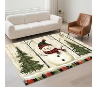 Tapis Salon Imperméable, Petit Tapis Lavable en Machine 50x80cm Antidérapant Carpet pour Chambre Adulte, Cuisine, Couloir, Résistant Rug Moderne Rectangulaire Pile Bou Rugs Winter 13-1007