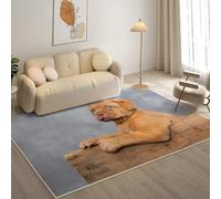Tapis Salon Lavable 160x230cm, Dogue de Bordeaux Tapi AntidéRapant, pour Salon, Salle à Manger, Cuisine, Bureau, Tapis de Chambre Kaki Descente de Lit RéSistant