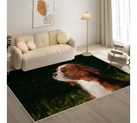 Tapis Salon Lavable 60x90cm, éPagneul King Charles Tapi AntidéRapant, pour Salon, Salle à Manger, Cuisine, Bureau, Tapis de Chambre Mignon Descente de Lit RéSistant