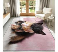 Tapis Salon Lavable en Machine 100 x 160 cm Pyramide Chats, Photographie Animaux Compagnie Tapis de Chambre Doux et Antidérapant - Moquette Poils Courts Intérieure pour Salon Chambre d'enfant Bureau