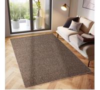 Tapis à Poils Ras, Unicolor - Monochrome, Tapis Marron, 120 x 170 cm, Tapis de Style Moderne, Tapis Salon