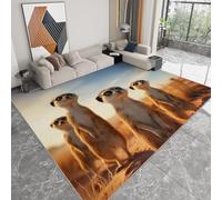 Tapis Salon Résistante à la tache Suricate animal vent des prairies, Tapis de décoration Chambre Lavable en Machine Moquette Doux Antidérapant pour Chambre d'enfant Bureau à domicile, 80 x 120cm