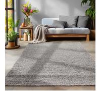 Tapis Salon épais shaggy Uni couleurs, rectangulaire, rond, gris clair, 300x400 cm