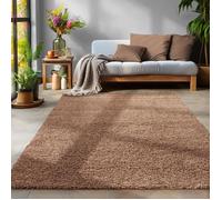 Tapis à Poils Longs, Unicolor - Monochrome, Tapis Marron, 300 x 400 cm, Tapis de Style Moderne, Tapis Salon