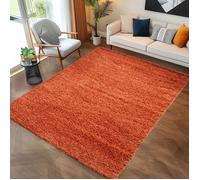 Carpettex Moderne Tapis Salon Tapis Chambre Adulte Terre Cuite 80 x 150 cm - Tapis Poil Long Shaggy Salle de Séjour Concevoir Unicolore Tapis Doux et Moelleux - Tapis Cuisine Moquette Coureur