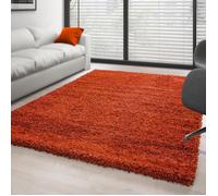 Tapis Shaggy - Ayyildiz - Terracotta - 60x110 cm - 30 mm de hauteur de pile - Intérieur