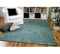 Tapis Shaggy - SNAPSTYLE - Cottage - Vert menthe - 80x160 cm - Intérieur
