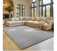 SIMPEX Tapis Argent 120x160 cm Tapis à Poils Courts Lavable, Doucement Antidérapant et Design Monochrome Moderne pour Salon, Chambre, Cuisine et Chambre d'enfant