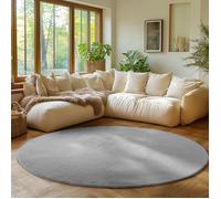 Tapis SIMPEX Rond 120 cm Poils Courts Lavable, Doucement Antidérapant et Design Moderne pour Salon, Chambre, Argent