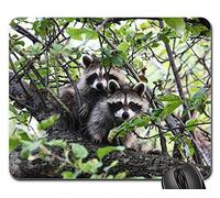Tapis Souris, Arbre Bois Raton Laveur Animaux Faune Fourrure Tapis De Souris Gamer Antidérapante Mousepad Confort Souris De Bureau pour Pc Souris Jeux 25X30Cm