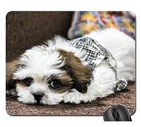 Tapis Souris, Chien Oui-Oui Lhasa Apso Animal Chiot Mignon Adorable Gaming Mousepad Antidérapante Tapis De Souris Gamer Stable Souris De Bureau pour Pc Ordinateur Jeux 25X30Cm