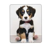 Tapis Souris Dressage De Chiens 25X30Cm Antidérapante Tapis De Souris De Jeu Portable Tapis pour Bureau Ordinateur