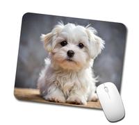 Tapis Souris Photo d'un Chiot Maltais Étanche Souris Tapis Lavable Base De Table pour Accessoires Clavier Maison 10X12In