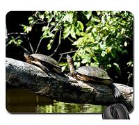 Tapis Souris, Tortues Tortue Animal Eau Créature Journal Assis Soleil Tapis De Souris Antidérapante Tapis De Souris Gamer Confort Souris De Bureau pour Ordinateur Professionnels Pc 25X30Cm