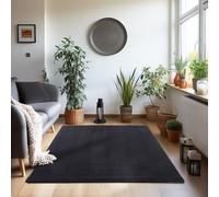 Tapis Teppium Moderne, Noir, 140 x 200 cm, Rectangulaire, Lavable, Moelleux