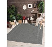 the carpet Mistra - Tapis d’intérieur Moderne, Durable et Facile à Nettoyer, idéal pour Salon, Cuisine ou Salle à Manger, utilisable Aussi en extérieur, Anthracite Bordure, 160 x 220 cm