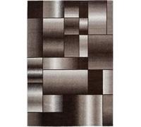 Tapis Tissé à Poils Courts "Broadway III" Marron & Beige 80 x 150 cm Marron G