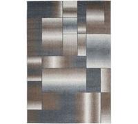 Tapis Tissé à Poils Courts "Broadway III" Marron & Gris 160 x 230 cm Marron G