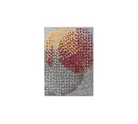 Tapis Tissé Imprimé à Poils Courts "Dilan" Rouge 120 x 170 cm Rouge G