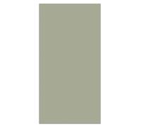 Panorama Tapis Vinyle du Sol Cuisine Salle de Bain - Différentes Tailles - (Vert Lisse 80x150 cm)