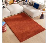 TAPISO Essence Tapis Shaggy Poils Longs Moderne Rouge Brique Uni Salon Chambre Adulte Enfant Descente de Lit Moelleux Super Soft Epais Oeko-TEX 140 x 200 cm