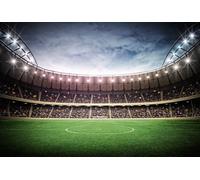 Tapisserie déco poster STADE DE FOOT 3 x 2,70 m | Déco et photo murale XXL Qualité HD Scenolia
