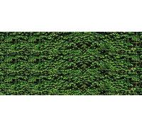 Tapisserie déco poster VIGNE VIERGE 3 x 2,70 m | Déco et photo murale XXL Qualité HD Scenolia