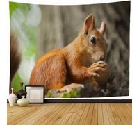 Tapisserie Murale Animaux Mignons 130x150 cm Tenture Murale écureuil Tapisserie Tissu 3D Impression Decoration Art pour Maison Salon Chambre Dortoir a-9605