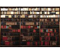 Tapisserie poster panoramique BIBLIOTHEQUE 4 x 2,70 m | Déco et photo murale XXL Qualité HD Scenolia
