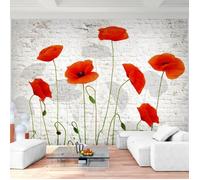 Tapisserie Tableau toile photo Coquelicots fleurs Laine papier peint Salon Chambredécoration Peinture murale décor mural moderne