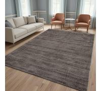 TapisTrend Tapis Design Taupe 120x170 cm Moderne en Viscose à Effet brossé Ton sur Ton pour Salon Chambre et Salle à Manger