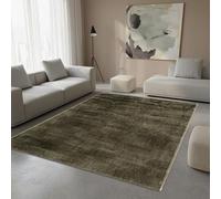 TapisTrend Tapis Design Vert 160x230 cm Moderne en Viscose à Effet brossé Ton sur Ton pour Salon Chambre et Salle à Manger