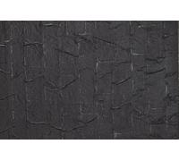 Tar Toit Panneau Décoratifs Feuille 100 X 200 MM (Paquet De 2) Ho / Oo / Tt