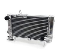 TARAZON pour Suzuki SV650 SV650S Radiateur de refroidissement moteur SV 650 S 1999 2000 2001 2002 OEM 17710-19F10