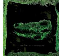 Avey Tare – Down There – CD – Import