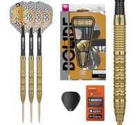 Target Darts Bolide Envy 01 90% Tungstène Swiss Point Pointe en Acier Dart Set, 24G | Pro Ultra N° 6 Vols et Pro Grip Evo Arbres, Or Suisse Points et SP Outil Inclus | Professionnels Fléchettes Sets