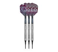 Target Darts Cryo Pointe Souple Fléchette Set, Barrels 11/12/13 - 18G/19G/20G/21G | 90% Tungstène Barrel, Cryo Conseils, Tiges Pro Grip Tag et Ailettes N° 6, Claret Violet et Bleu Design