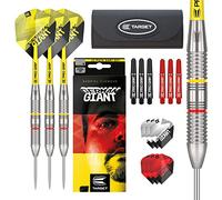 Flechettes Target Darts Gabriel Clemens Brandas Steel Tip 22gr 170005