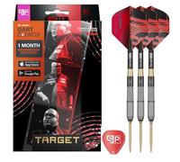 Target Darts Stephen Bunting G5 Void Pointe en Acier Fléchettes Swiss Point, 23G | 95% Tungstène Fléchettes Set, Édition Joueur Noir et Or, Manches Pro Grip Ailettes N° 2, Outil SP Inclus